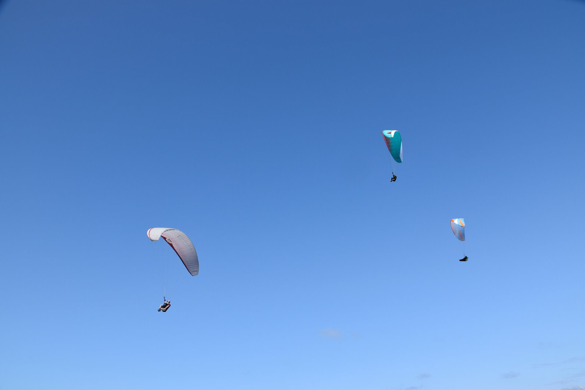 paragliders-4393757_1920